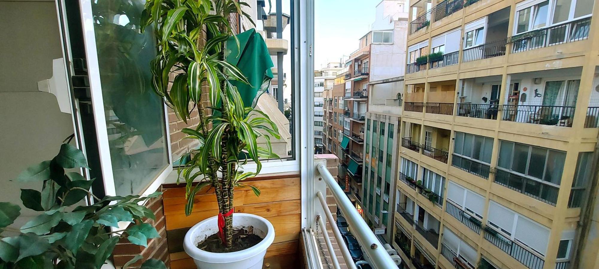 Modern Apartment In Alacant 60M² Wheelchair Accessible アリカンテ エクステリア 写真